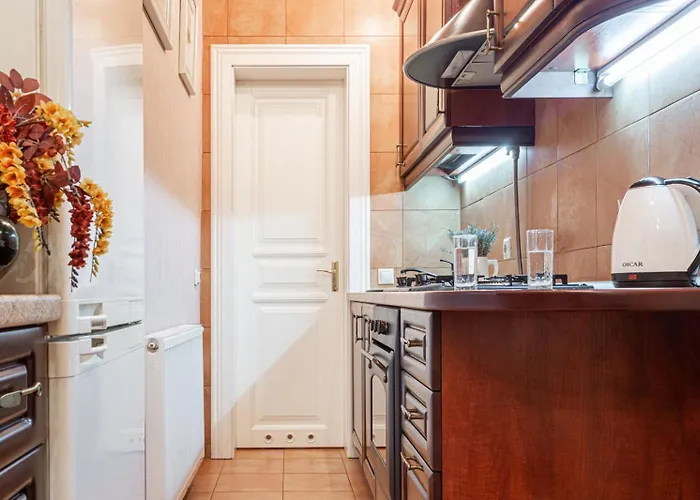 Apartment 2-bedroom In Center Lviv